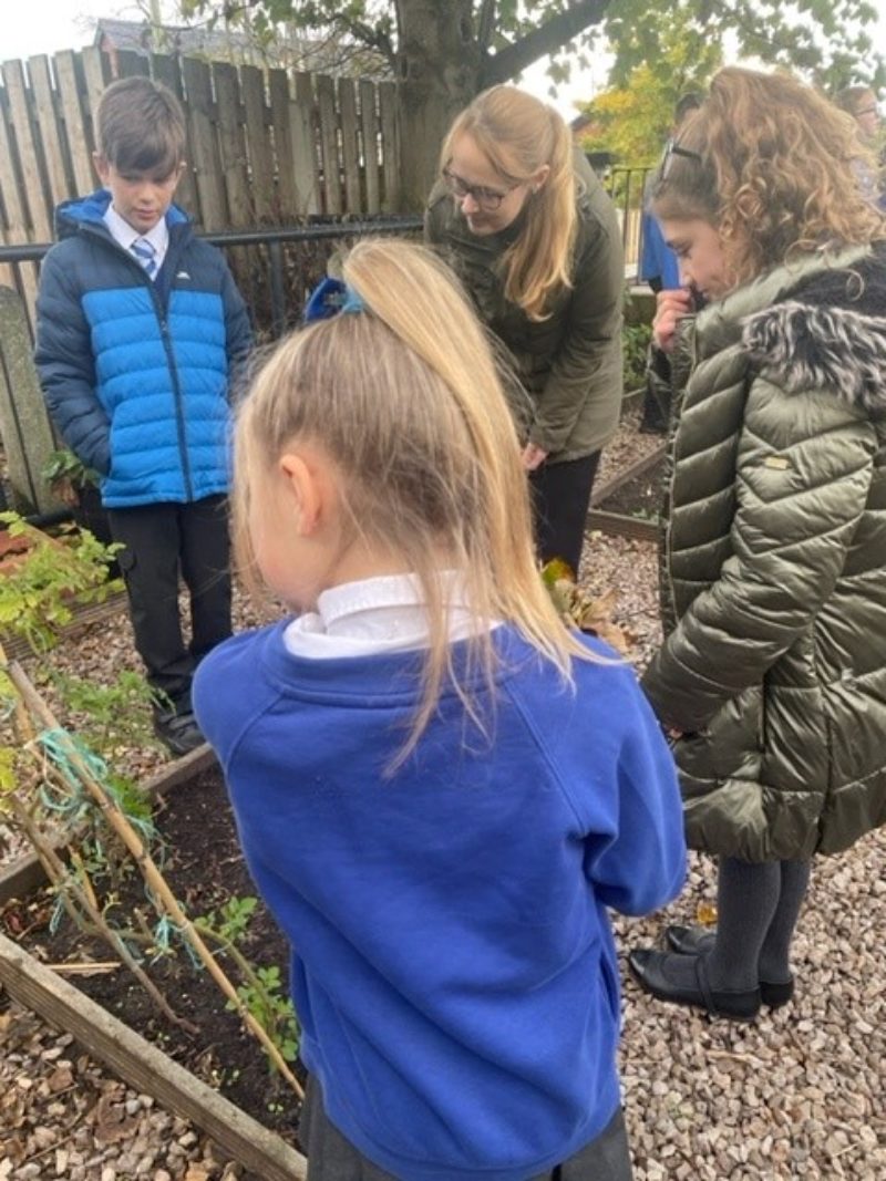Pupils talk to Cat about their allotment